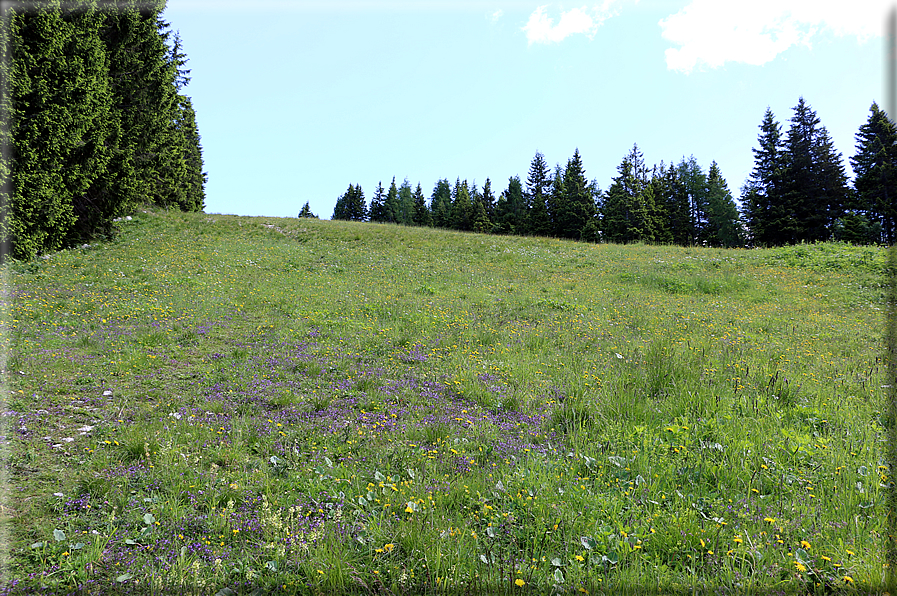 foto Panorama dal Monte Verena